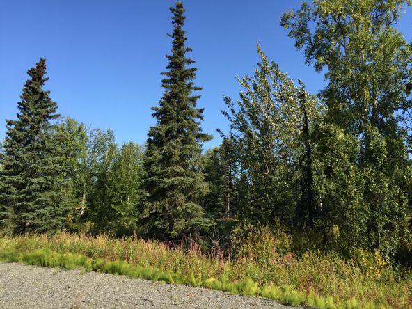 63747 Oil Well Rd, Ninilchik, AK 99639